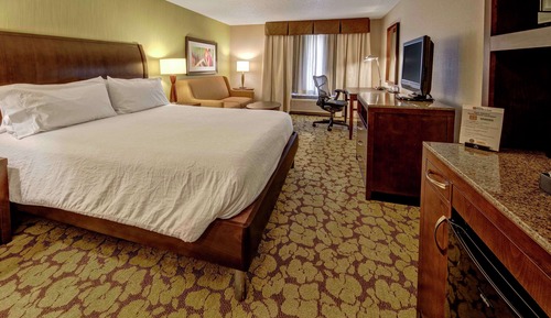 Room, 1 King Bed with Sofa bed
