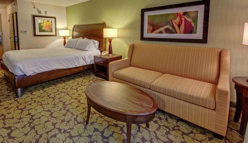 Room, 1 King Bed with Sofa bed, Accessible (Hearing)