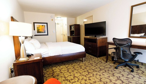 Junior Suite, 1 King Bed with Sofa bed, Non Smoking