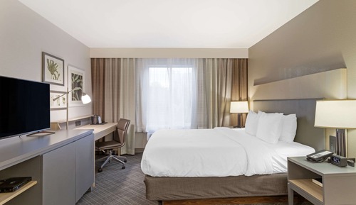 Standard Room, 1 King Bed, Non Smoking