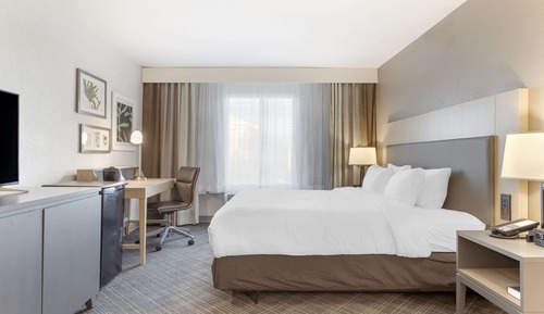 Room, 1 King Bed, Non Smoking