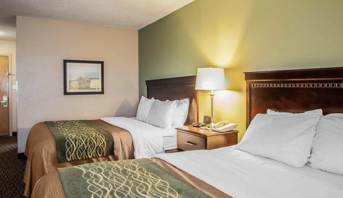 Room, 1 Queen Bed