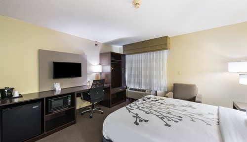 Room, 1 Queen Bed, Non Smoking/Accessible