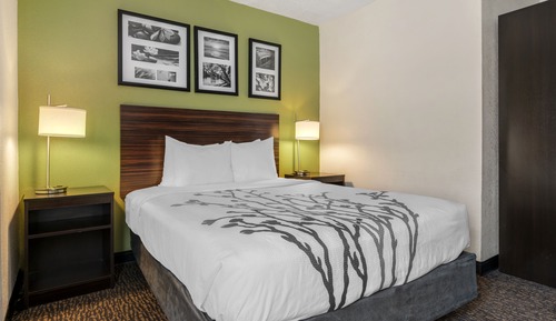 Room, 1 King Bed, Non Smoking (Whirlpool)