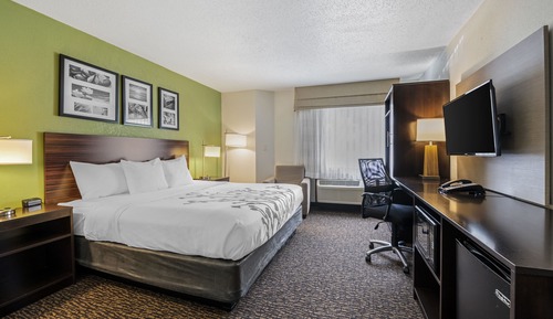 Room, 1 Queen Bed, Non Smoking