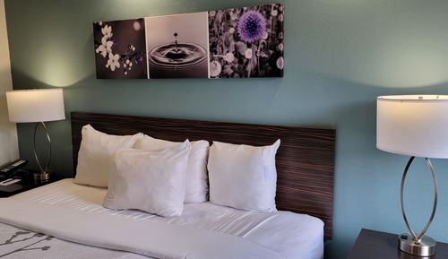 Standard Room, 1 King Bed, Non Smoking
