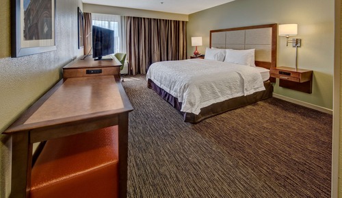 Room, 1 King Bed, Accessible, Shower