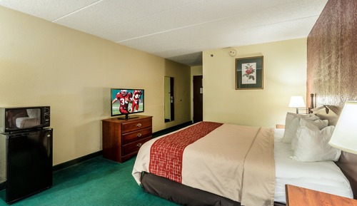Superior Room, 1 King Bed, Non Smoking