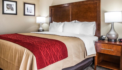 Standard Room, 1 King Bed, Accessible, Non Smoking