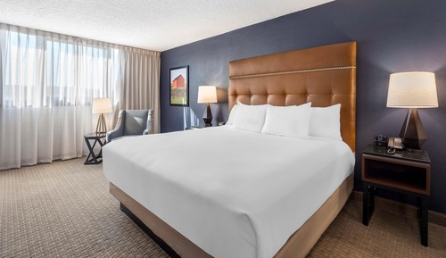 Deluxe Room, 1 King Bed, Refrigerator & Microwave