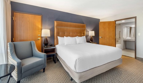 Deluxe Room, 1 King Bed, Accessible, Refrigerator & Microwave (Roll in Shower)