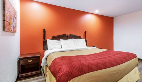 Room, 1 King Bed, Non Smoking