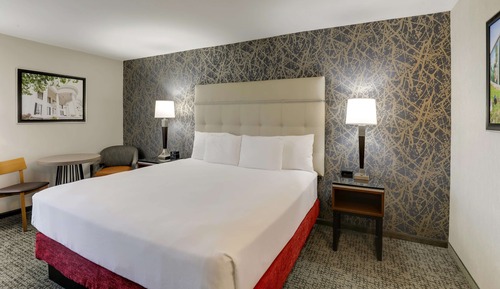 Deluxe Room, 1 King Bed, Accessible, Refrigerator & Microwave (Roll in Shower)