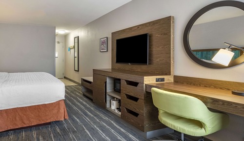 Room 1 King Bed, Sofabed