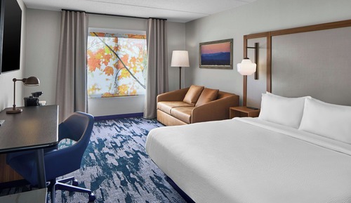 Room, 1 King Bed