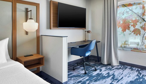 Room, 1 King Bed with Sofa bed