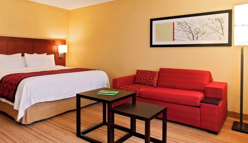 Room, 1 King Bed with Sofa bed, Non Smoking