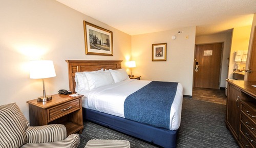Suite, 1 King Bed, Non Smoking, Kitchenette (with Sofabed)