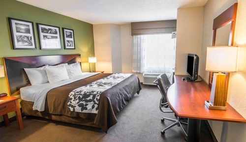 Room, 1 Queen Bed, Non Smoking