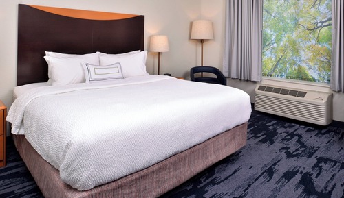 Room, 1 King Bed (Mobility Accessible, Roll-In Shower)