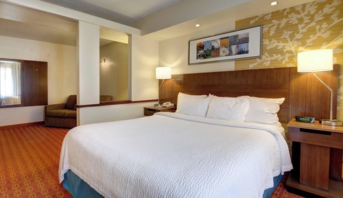 Executive Suite, 1 King Bed with Sofa bed, Non Smoking