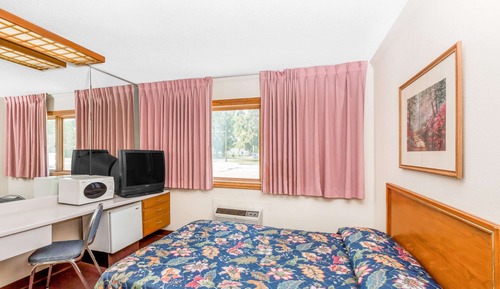 Room, 1 King Bed