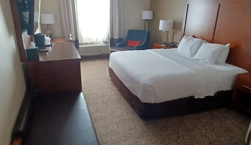 Room, 1 King Bed, Non Smoking