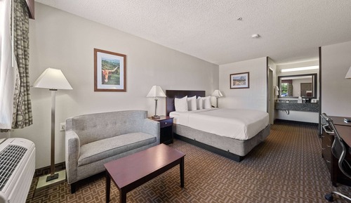 Room, 1 King Bed, Smoking