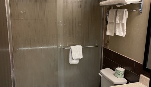 Deluxe King Suite