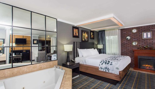 Suite, 1 King Bed, Non Smoking (Studio)