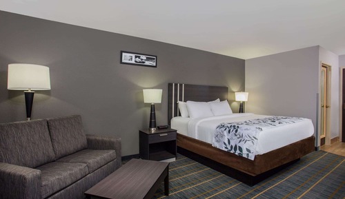 Deluxe Room, 1 King Bed, Non Smoking