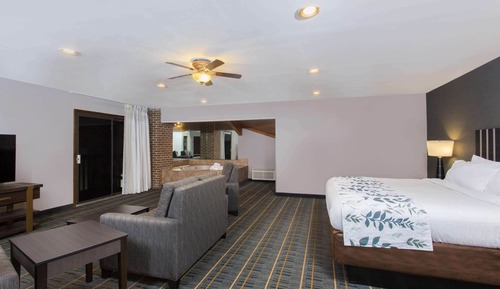 Executive Suite, 1 King Bed, Non Smoking (Studio)