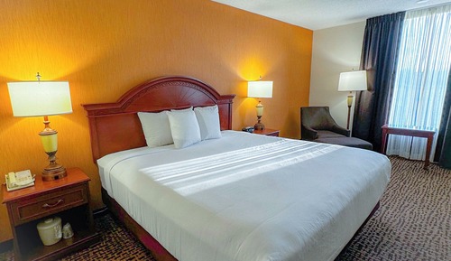 Room, 1 Queen Bed, Mobility Accessible, Non Smoking (Hearing, Tub w/ Grab Bars)