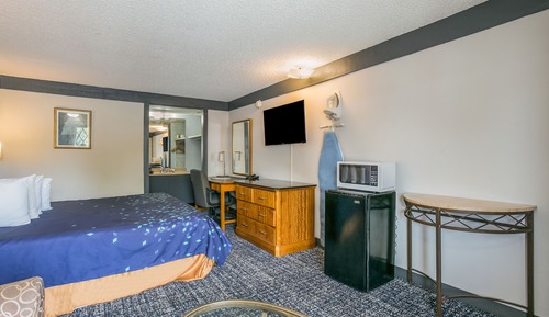 Room, 1 King Bed, Non Smoking (Microwave and Fridge in-room)