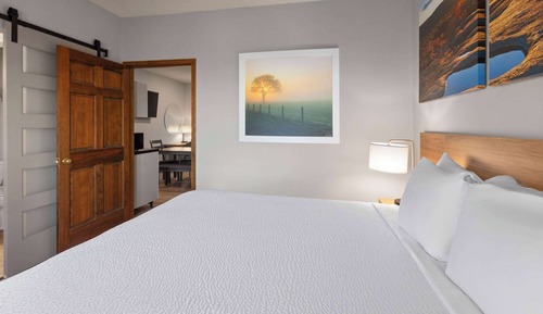 Suite, 1 King Bed, Non Smoking (One-Bedroom)