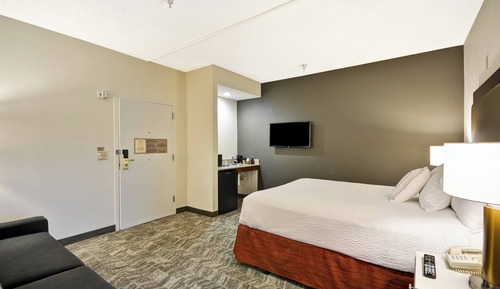 Suite, 1 Queen Bed