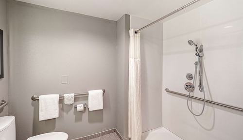 Standard Room, 1 King Bed, Accessible (Roll-in Shower)