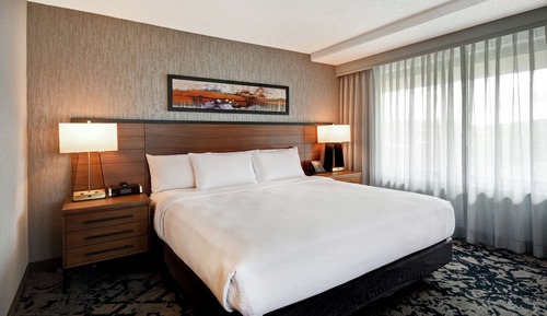 Standard Suite, One King and One Sofa Bed, Non-Smoking