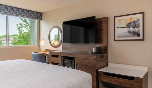 Room, 1 King Bed, Accessible, Bathtub (Mobility & Hearing)