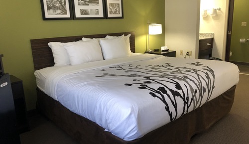 Standard Room, 1 King Bed, Non Smoking, Refrigerator & Microwave