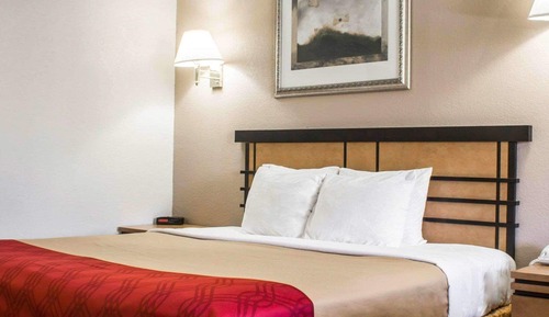 Standard Room, 1 King Bed, Non Smoking (Pet Friendly)