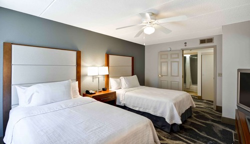 Suite (2 Double Beds with Sofabed)