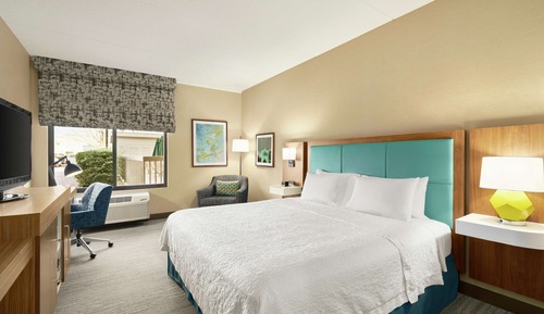 Room, 1 King Bed, Accessible, Non Smoking