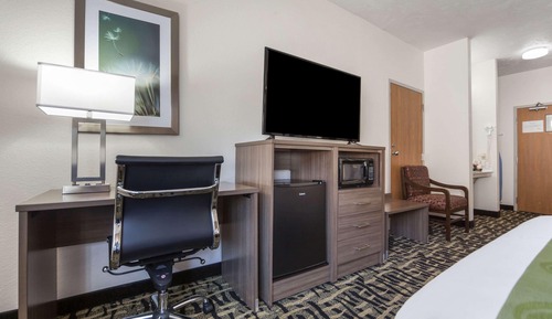 Standard Room, 1 King Bed, Non Smoking