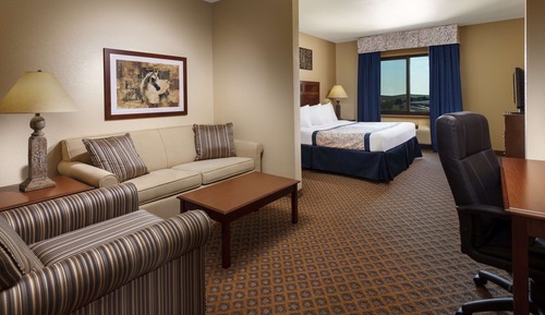 Suite, 1 King Bed, Non Smoking, Refrigerator & Microwave (with Sofabed)