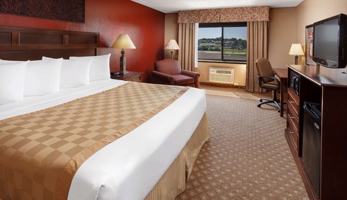 Standard Room, 1 King Bed, Non Smoking, Refrigerator & Microwave