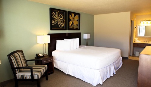 Executive one king bed non smoking