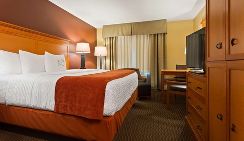 Suite, 1 King Bed, Non Smoking, Kitchenette (with Sofabed)