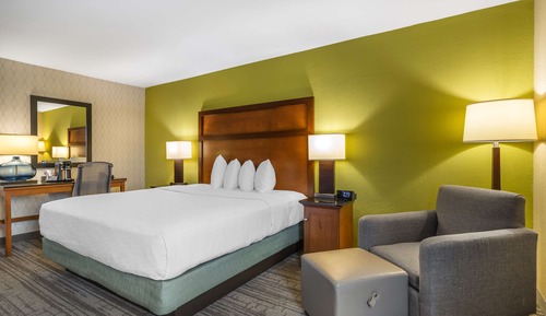 Standard Room, 1 King Bed, Non Smoking, Refrigerator & Microwave
