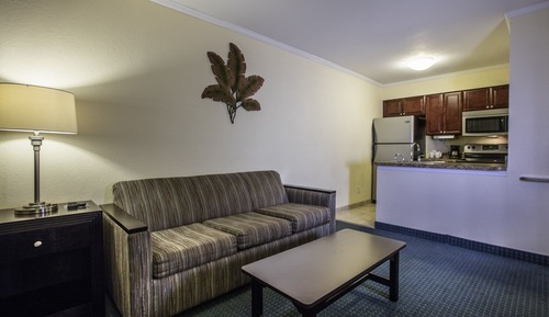 Suite, 1 Queen Bed with Sofa bed (One Bedroom Suite Bay/Pool View)